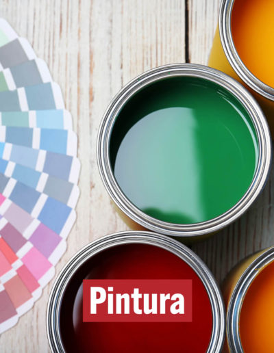 Pintura Mercancía restringida Air ServiAmazonas Cargo SAS 4